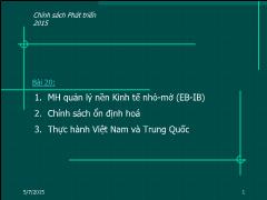 Bài giảng Chính sách Phát triển - Bài 20: Mô hình quản lý nền Kinh tế nhỏ-mở (EB-IB)