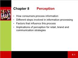 Bài giảng Consumer Behaviour - Chapter 8 Perception