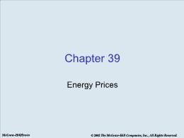 Bài giảng Economics - Chapter 39 Energy Prices