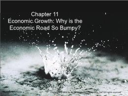 Bài giảng Economics of Social Issues - Chapter 11 Economic Growth: Why is the Economic Road So Bumpy?