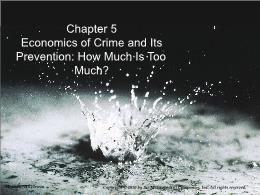 Bài giảng Economics of Social Issues - Chapter 5 Economics of Crime and Its Prevention: How Much Is Too Much?