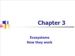 Bài giảng Environmental Sciences - Chapter 3 Ecosystems How they work