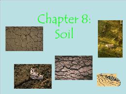 Bài giảng Environmental Sciences - Chapter 8: Soil