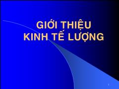 Bài giảng Giới thiệu Kinh tế lượng