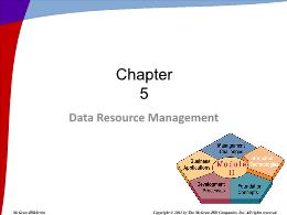 Bài giảng Information Systems in Business - Chapter 5 Data Resource Management