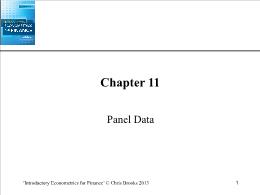 Bài giảng Introductory Econometrics for Finance - Chapter 11 Panel Data