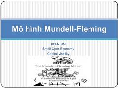 Bài giảng Kinh tế Vĩ mô - Mô hình Mundell-Fleming