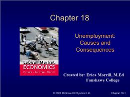 Bài giảng Labour Market Economics - Chapter 18 Unemployment: Causes and Consequences