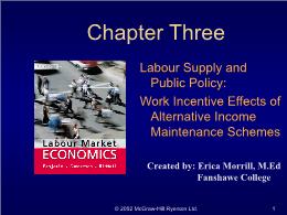 Bài giảng Labour Market Economics - Chapter 3 Labour Supply and Public Policy: Work Incentive Effects of Alternative Income Maintenance Schemes