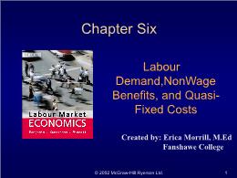 Bài giảng Labour Market Economics - Chapter 6 Labour Demand, NonWage Benefits, and Quasi-Fixed Costs