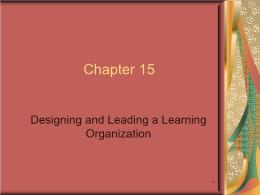 Bài giảng Leadership - Chapter 15 Designing and Leading a Learning Organization