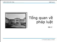 Bài giảng Luật và chính sách công - Bài 2: Tổng quan về pháp luật