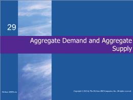 Bài giảng MicroEconomics - Chapter 29 Aggregate Demand and Aggregate Supply