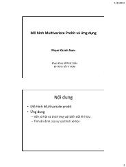 Bài giảng Mô hình Multivariate Probit và ứng dụng