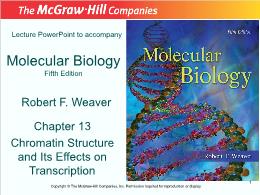 Bài giảng Molecular Biology - Chapter 13 Chromatin Structure and Its Effects on Transcription