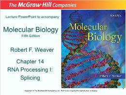 Bài giảng Molecular Biology - Chapter 14: Chapter 14 RNA Processing I: Splicing