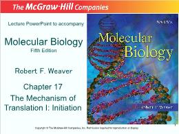Bài giảng Molecular Biology - Chapter 17 The Mechanism of Translation I: Initiation