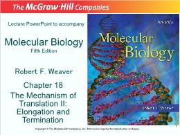 Bài giảng Molecular Biology - Chapter 18 The Mechanism of Translation II: Elongation and Termination