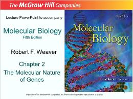 Bài giảng Molecular Biology - Chapter 2 The Molecular Nature of Genes