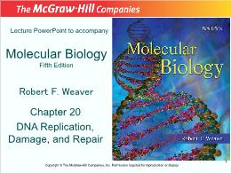 Bài giảng Molecular Biology - Chapter 20 DNA Replication, Damage, and Repair