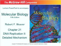 Bài giảng Molecular Biology - Chapter 21 DNA Replication II: Detailed Mechanism