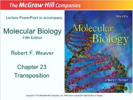 Bài giảng Molecular Biology - Chapter 23 Transposition
