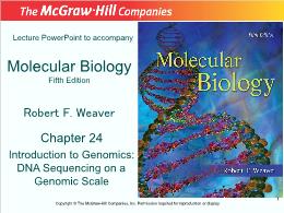 Bài giảng Molecular Biology - Chapter 24 Introduction to Genomics: DNA Sequencing on a Genomic Scale