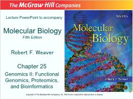 Bài giảng Molecular Biology - Chapter 25 Genomics II: Functional Genomics, Proteomics, and Bioinformatics