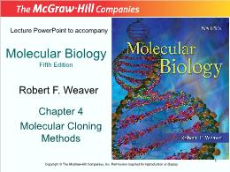 Bài giảng Molecular Biology - Chapter 4 Molecular Cloning Methods