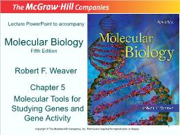 Bài giảng Molecular Biology - Chapter 5 Molecular Tools for Studying Genes and Gene Activity