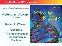 Bài giảng Molecular Biology - Chapter 6 The Mechanism of Transcription in Bacteria