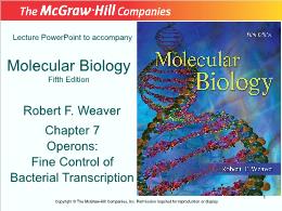 Bài giảng Molecular Biology - Chapter 7 Operons: Fine Control of Bacterial Transcription