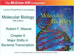 Bài giảng Molecular Biology - Chapter 8 Major Shifts in Bacterial Transcription