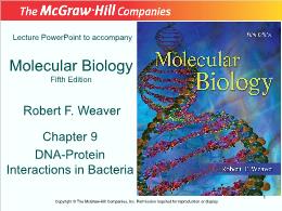 Bài giảng Molecular Biology - Chapter 9 DNA-Protein Interactions in Bacteria