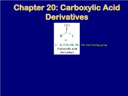 Bài giảng Organic Chemistry - Chapter 20: Carboxylic Acid Derivatives