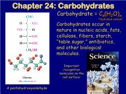 Bài giảng Organic Chemistry - Chapter 24: Carbohydrates