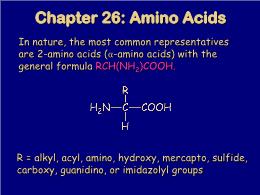 Bài giảng Organic Chemistry - Chapter 26: Amino Acids