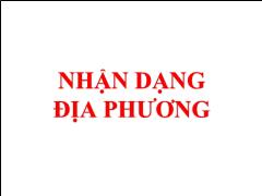 Bài giảng Phát riển Vùng và Địa phương - Nhận dạng địa phương