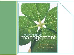 Bài giảng Principles of Management - Chapter 11 Developing High Performance Teams