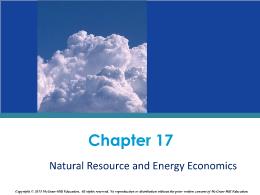 Chapter 17. Natural Resource and Energy Economics