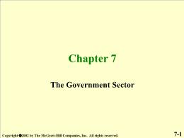 Chapter 7. The Government Sector