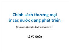 Chính sách thương mại ở các nước đang phát triển