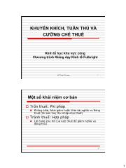 Kinh tế học khu vực công - Khuyến khích, tuân thủ và cưỡng chế thuế