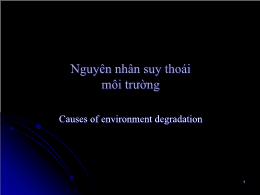 Nguyên nhân suy thoái môi trường