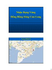 Nhận Dạng Vùng Đồng Bằng Sông Cửu Long