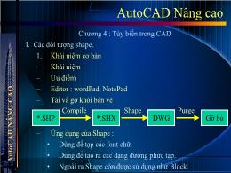 Bài giảng AutoCAD Nâng cao - Chương 4: Tùy biến trong CAD