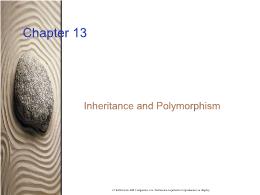 Bài giảng Chapter 13: Inheritance and Polymorphism